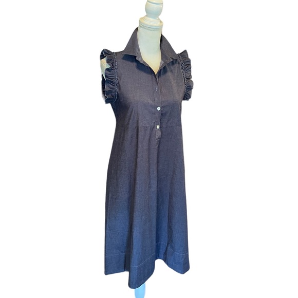 Pietro Brunelli Dresses & Skirts - Pietro Brunelli Denim Chambray Ruffle Sleeve A-Line Maternity Dress XS
